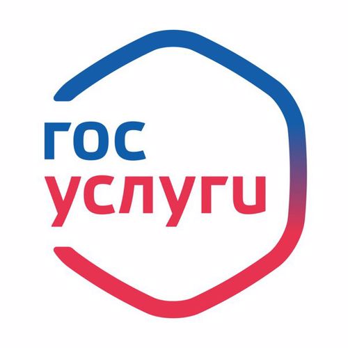 Управление Росгвардии по Вологодской области напоминает о преимуществах обращения за получением госуслуг в электронном виде