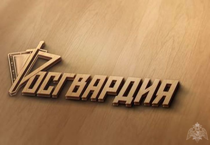 В Вологде сотрудники вневедомственной охраны Росгвардии задержали подозреваемого в хищении товаров из супермаркета