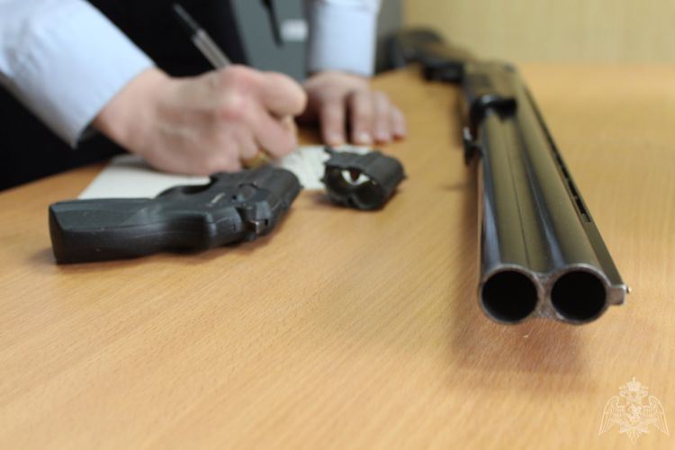 В Вологде сотрудники Росгвардии проверяют владельцев оружия