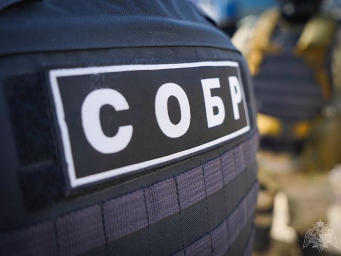 Сотрудники СОБР Росгвардии по Вологодской области оказали силовую поддержку в задержании граждан, подозреваемых в убийстве