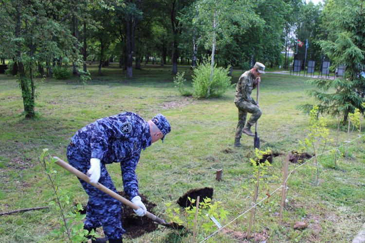 Руководство Управления Росгвардии по Вологодской области приняло участие во всероссийской акции «Сад памяти»