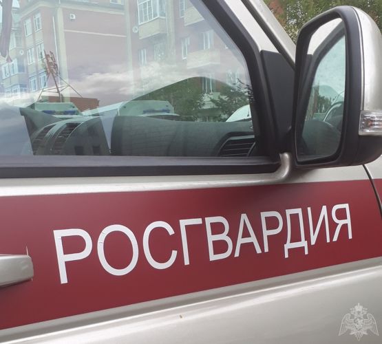 В Вологде сотрудники вневедомственной охраны задержали мужчину, сбежавшего из магазина с неоплаченным товаром