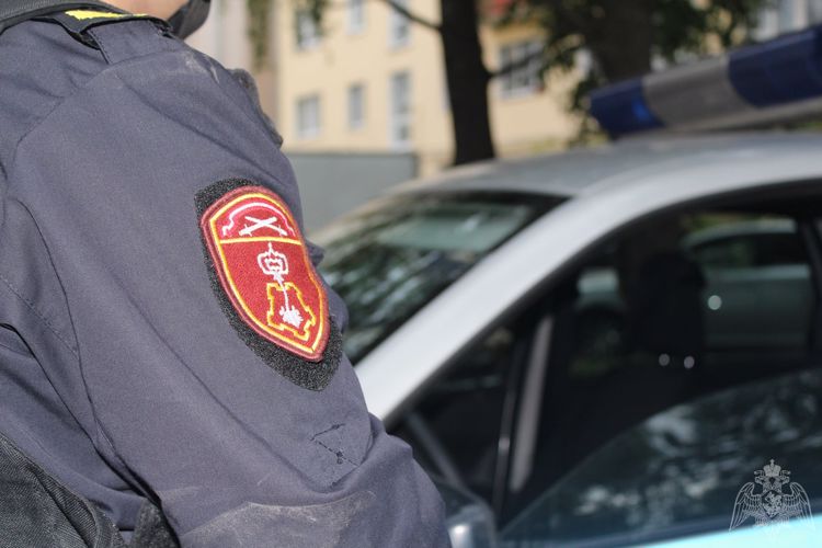 В Череповце сотрудники Росгвардии задержали двух женщин, устроивших дебош в кафе