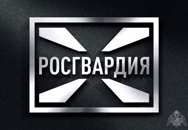 Росгвардейцы задержали нетрезвого сокольчанина, который на своем авто въехал в торговый павильон