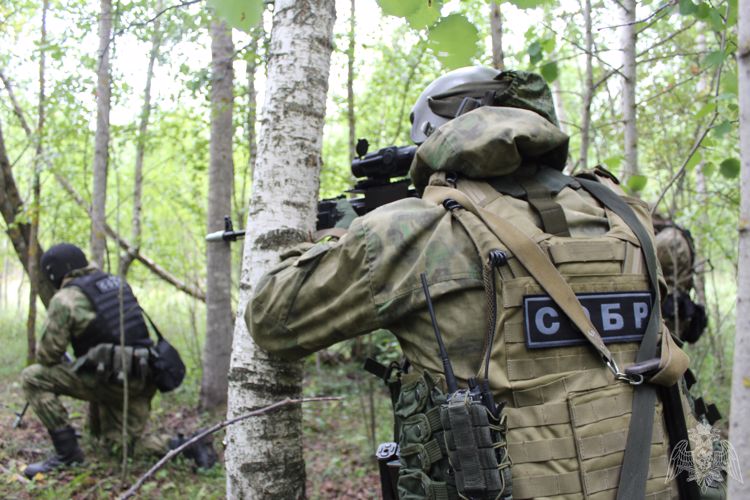 В Вологодской области сотрудники и военнослужащие Росгвардии провели тактические учения 