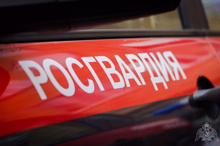 В Череповце сотрудники Росгвардии задержали девушку, подозреваемую в порче имущества в супермаркете