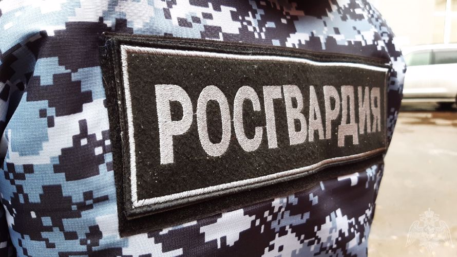 Сотрудники Росгвардии задержали вологжанина, который в течение нескольких дней 4 раза похищал алкоголь из магазина 