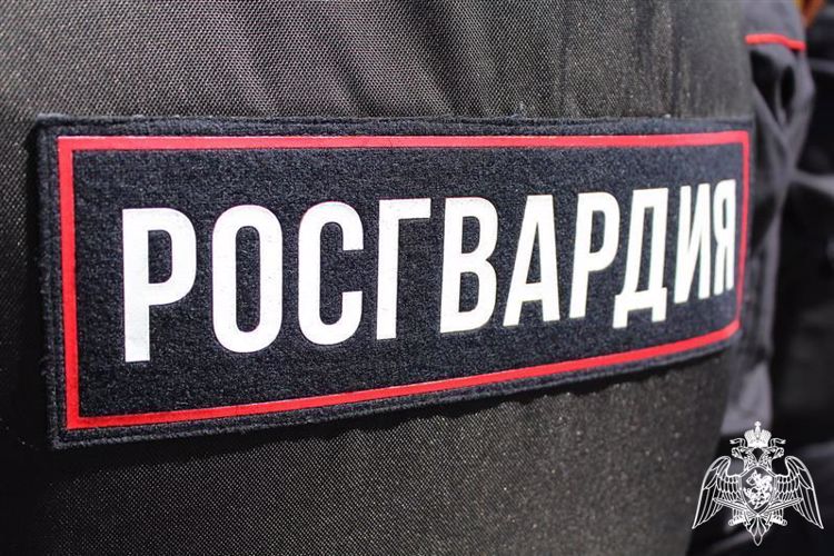 Росгвардейцы задержали череповчанку, подозреваемую в краже