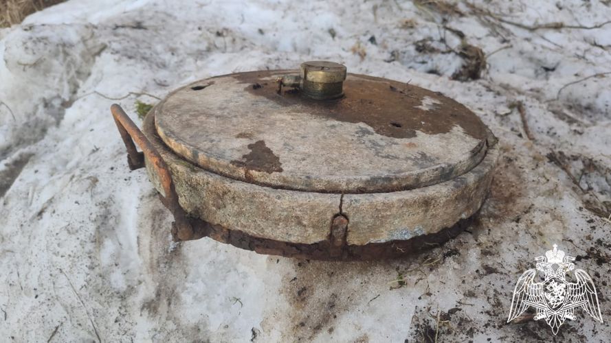 В Вологодской области сотрудники ОМОН Росгвардии обследовали немецкую мину