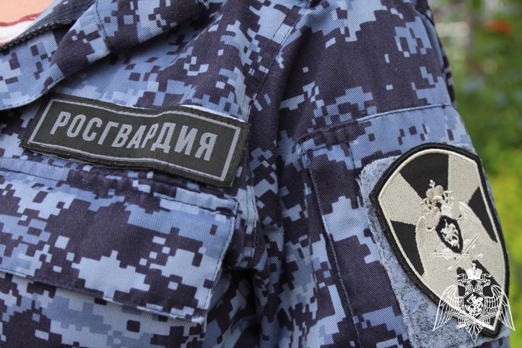 В Вологде сотрудники Росгвардии задержали находящегося в розыске жителя г.Ярославль при попытке хищения товара