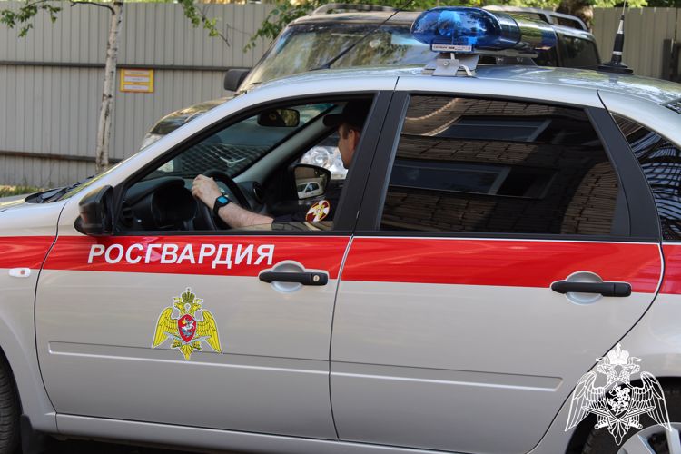 Более тысячи правонарушителей задержали сотрудники вневедомственной охраны Росгвардии Вологодской области с начала этого года