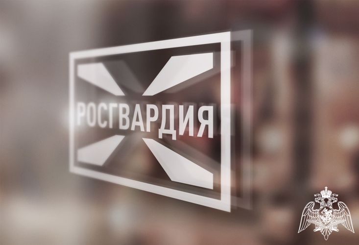 Сотрудники вневедомственной охраны Росгвардии пресекли хулиганство в ювелирном магазине Великого Устюга