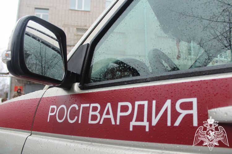 Сотрудники Росгвардии задержали вологжанина, похитившего товар из магазина 