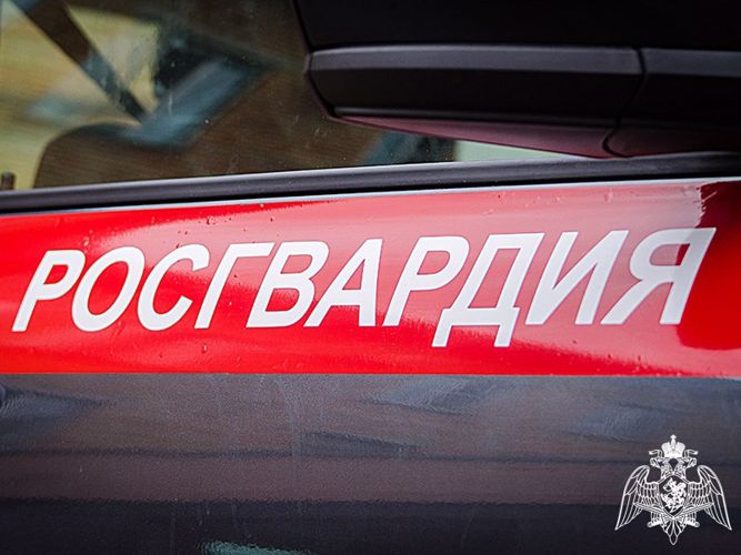Около 120 сотрудников Росгвардии будут задействованы в охране общественного порядка во время Рождественских праздников на Вологодчине