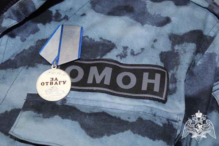 Вологодским росгвардейцам, отличившимся на СВО, вручены государственные награды (видео)