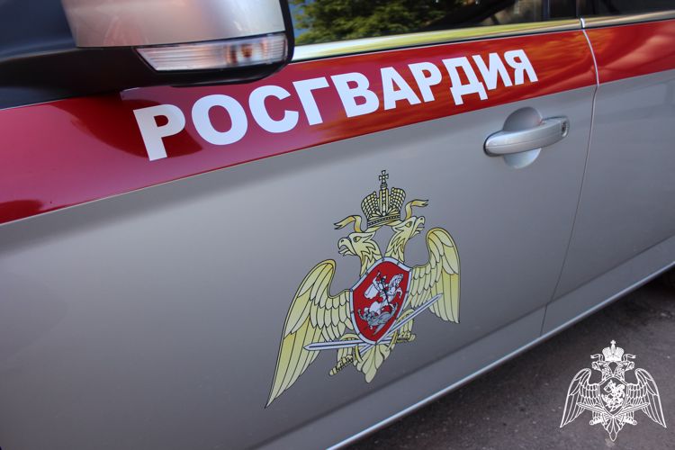 Сотрудники Росгвардии задержали вологжанку, подозреваемую в нескольких хищениях 