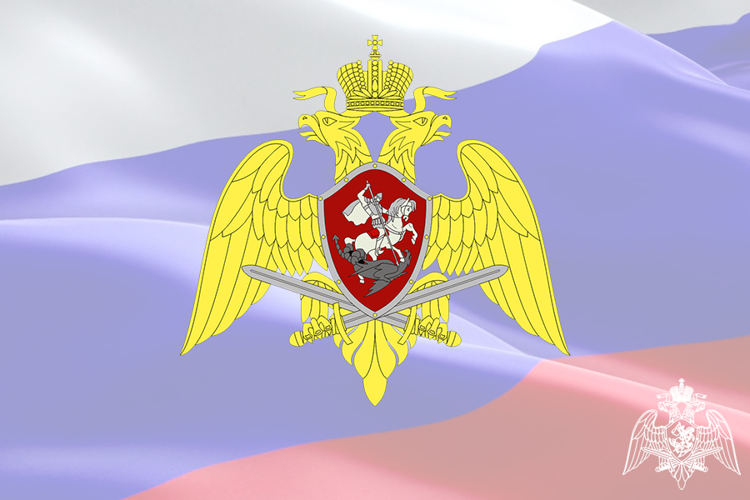 Росгвардейцы-участники специальной военной операции, проходящие службу в Вологодской области, получат дополнительные меры социальной поддержки от региона