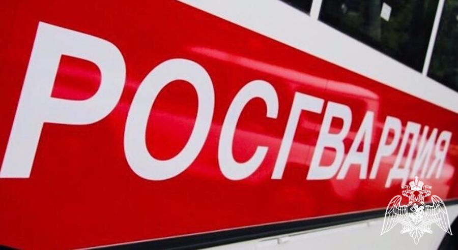 Череповецкий росгвардеец задержал молодого человека, подозреваемого в грабеже