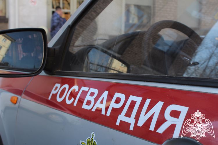 В Череповце сотрудники Росгвардии задержали двух молодых людей, пытавшихся похитить алкоголь из супермаркета