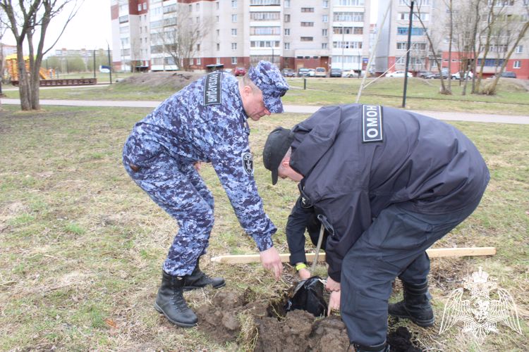 В Вологде росгвардейцы присоединились к акции по высадке деревьев