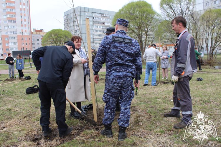 В Вологде росгвардейцы присоединились к акции по высадке деревьев
