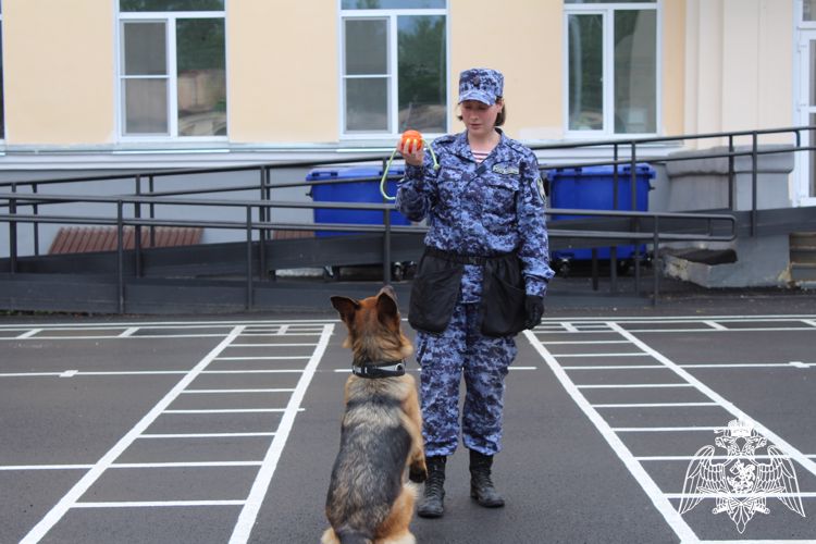 Росгвардейцы поздравили вологодских школьников с окончанием учебного года и предстоящим Днем защиты детей (ВИДЕО)