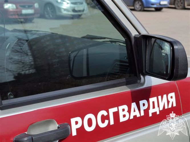 В Вологде сотрудники Росгвардии задержали архангелогородца за неуплату счетов в увеселительных заведениях
