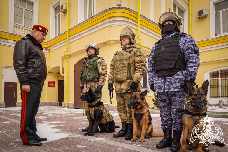 Генерал-лейтенант Алексей Воробьев рассказал о подвиге на СВО  служебных собак из Вологодской области
