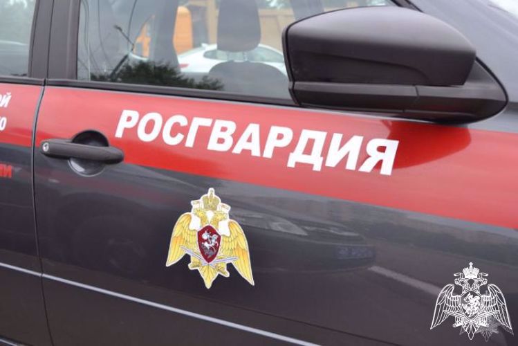 За неделю вневедомственной охраной Росгвардии области осуществлено более 200 выездов на охраняемые объекты