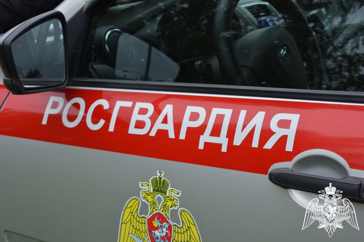 В Соколе сотрудники Росгвардии задержали двух мужчин, подозреваемых в грабеже