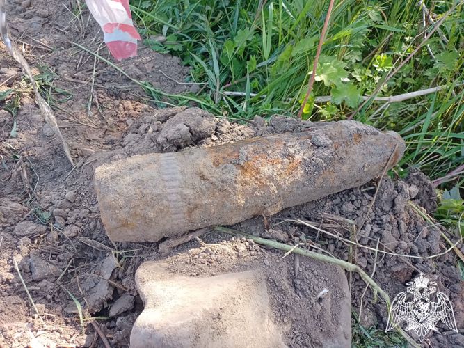 Взрывотехники ОМОН Росгвардии обследовали боеприпас, обнаруженный дорожными рабочими в Вологодской области