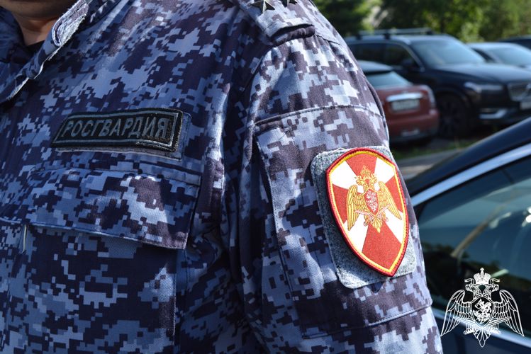 Вневедомственной охраной Росгвардии Вологодской области за неделю пресечено 27 правонарушений