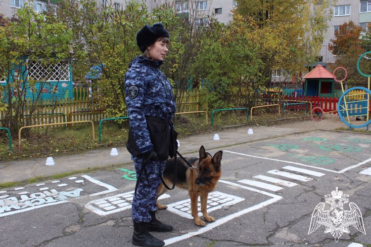 Юные вологжане познакомились с профессией кинолога Росгвардии (ВИДЕО)