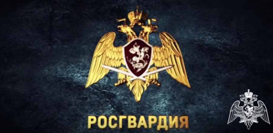 Росгвардейцы задержали жителя Великого Устюга, устроившего дебош в больнице