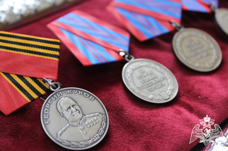 Начальник Управления Росгвардии по Вологодской области вручил государственные награды участникам СВО