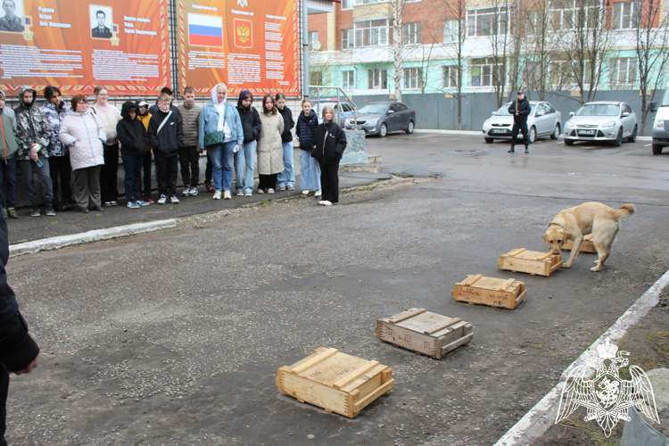 Вологодские школьники познакомились с работой региональной Росгвардии