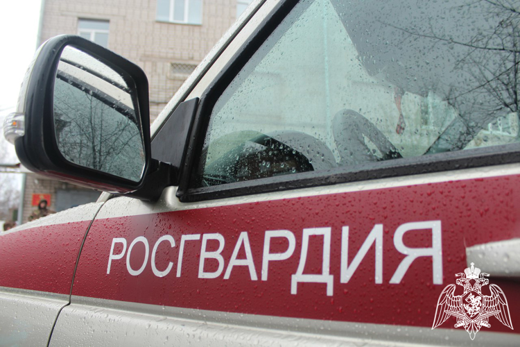 36 нарушителей задержали за минувшую неделю сотрудники вневедомственной охраны Росгвардии в Вологодской области