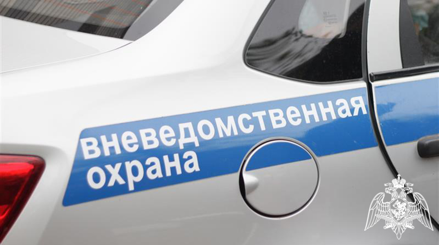 48 нарушений пресекли за минувшую неделю сотрудники вневедомственной охраны Росгвардии в Вологодской области