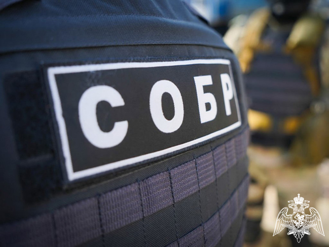 При содействии сотрудников СОБР в Вологодской области пресечена незаконная рубка