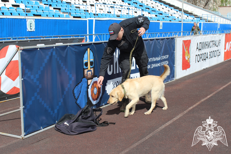 Сотрудники Росгвардии обеспечили безопасность футбольного матча в Вологде
