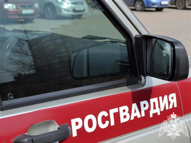 Росгвардейцы пресекли хищения товара из супермаркетов Вологды
