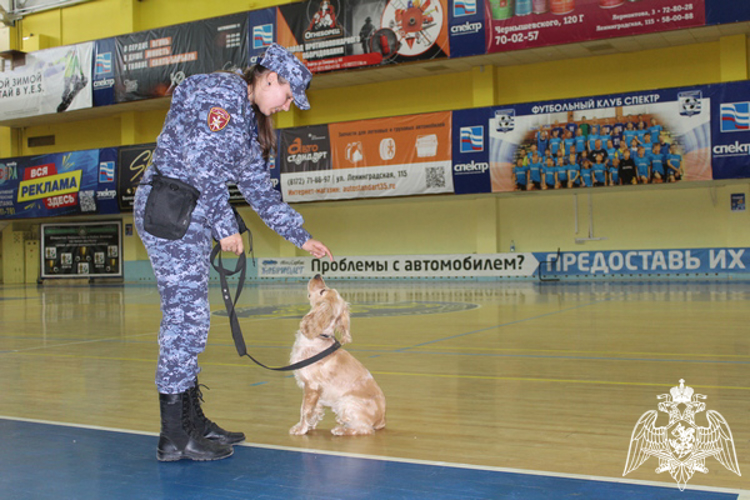 Юные вологжане познакомились с самой молодой служебной собакой региональной Росгвардии (ВИДЕО)