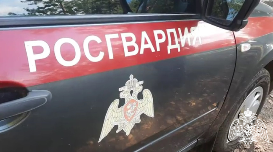 В Череповце сотрудники Росгвардии задержали молодого человека, пытавшегося похитить музыкальную технику