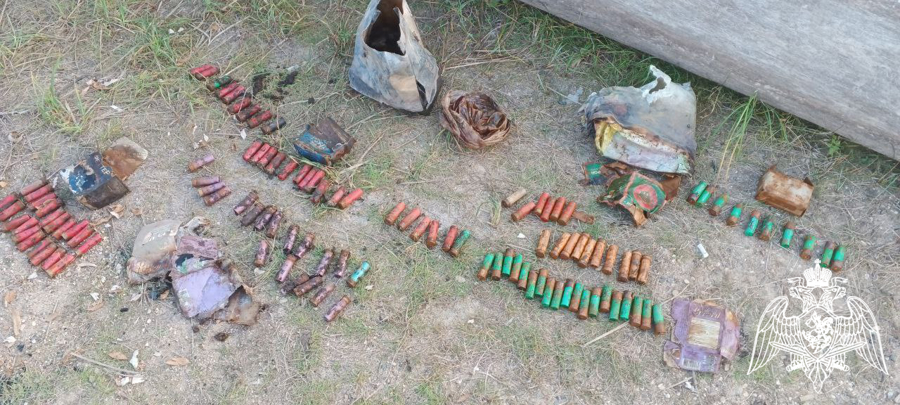 В Вологодской области взрывотехники ОМОН Росгвардии обследовали обнаруженные в реке боеприпасы (ВИДЕО)