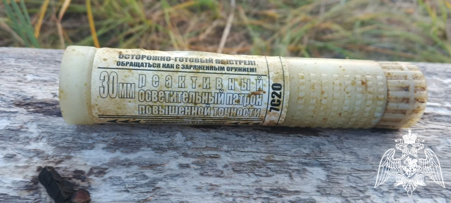В Вологодской области взрывотехники ОМОН Росгвардии обследовали обнаруженные в реке боеприпасы (ВИДЕО)