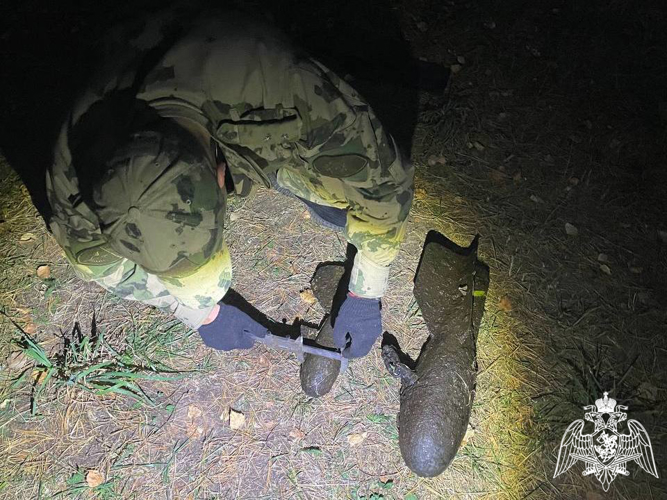 Взрывотехники ОМОН Росгвардии обследовали боеприпасы, обнаруженные в реке в Вологодской области