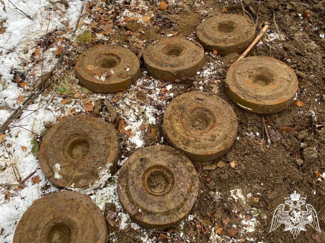 Более 30 учебных боеприпасов обследовали взрывотехники ОМОН «Вымпел» в Вологодской области (ВИДЕО)