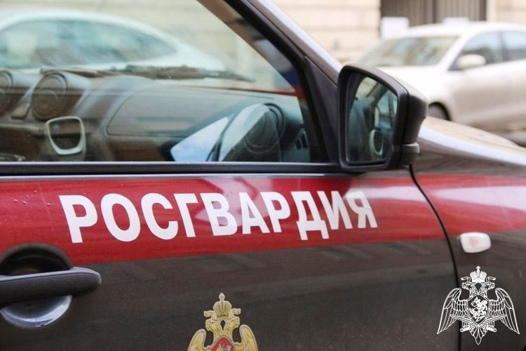 31 правонарушителя на территории Вологодской области задержали за минувшую неделю сотрудники вневедомственной охраны Росгвардии