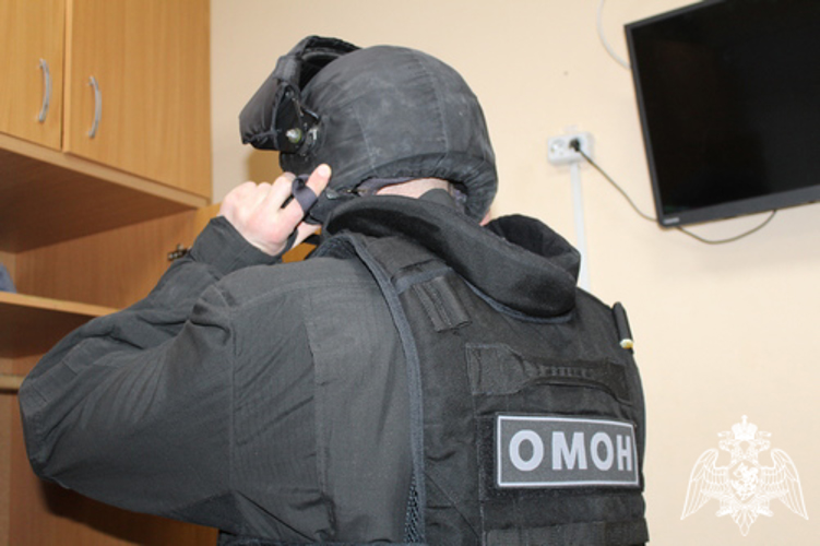 Сотрудники подразделений полиции специального назначения Управления Росгвардии по Вологодской области задержали 374 злоумышленника в минувшем году
