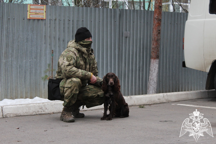 Студенты вологодских колледжей познакомились с работой региональной Росгвардии